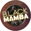 Logo Black Mamba