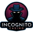 Logo Incognito